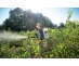 SR200 STIHL - Motorna nahrbtna škropilnica