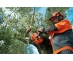 T435 Husqvarna - Motorna žaga