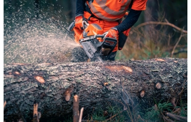 592XP Husqvarna - Motorna žaga