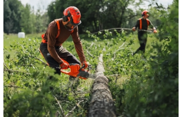 435i Husqvarna - Akumulatorska motorna žaga 435i Husqvarna - Akumulatorska motorna žaga