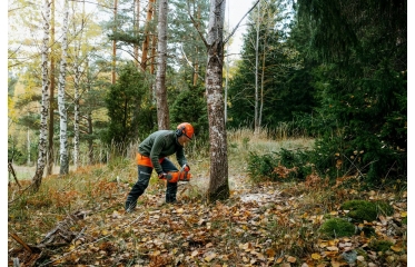 435i Husqvarna - Akumulatorska motorna žaga 435i Husqvarna - Akumulatorska motorna žaga