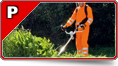 Profesionalni razred (P) Profesionalni razred (P)