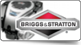 Briggs & Stratton motor Briggs & Stratton motor