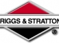 Briggs & Stratton motor